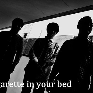 Avatar for Cigarette in your bed