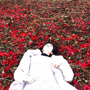 Ocean of Flowers