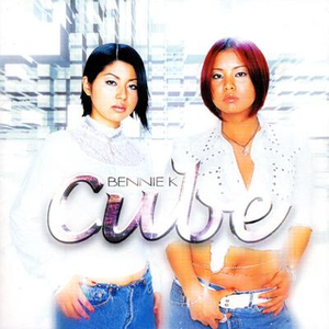 Cube cover