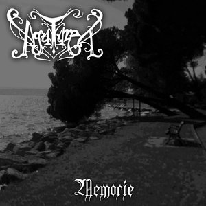 Изображение для 'Memorie'