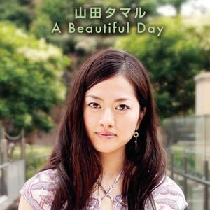A Beautiful Day