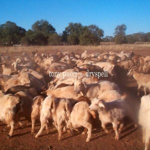 063 - Dryspell