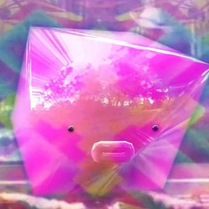 BOPPLES 的头像