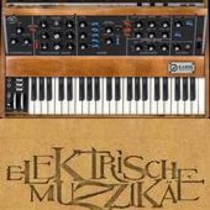 Avatar for Elektrische Muzzikae