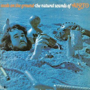 Seeds On The Ground - The Natural Sounds Of Airto