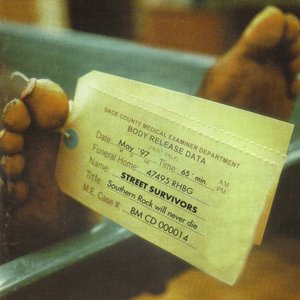 Street survivors 的头像