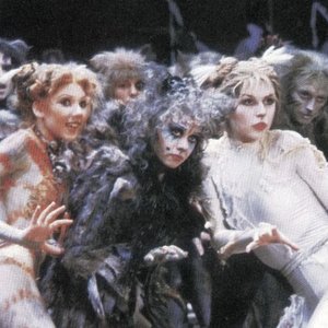 Cats: Original London Cast 的头像