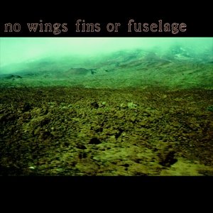 No Wings Fins Or Fuselage