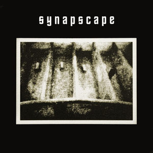 Synapscape cover