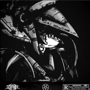Knights in Black