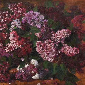 Flori de Liliac