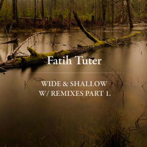 Wide & Shallow With Remixes I.