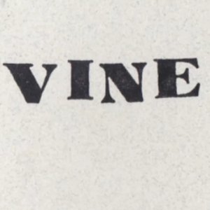 Vine