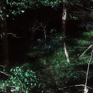 Amaranthine (2017) - Single