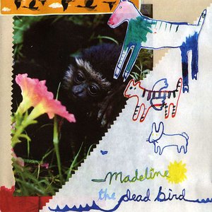 Madeline / The Dead Bird