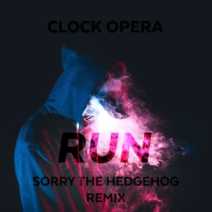 Run (Sorry the Hedgehog Remix)