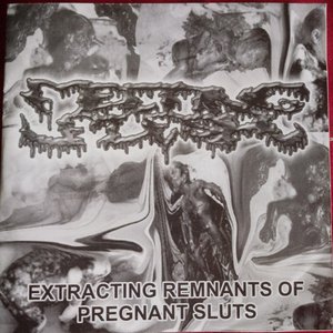 Extracting Remnants Of Pregnant Sluts