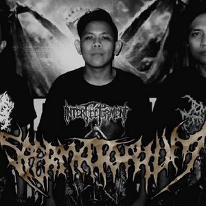 Spermatorium 的头像
