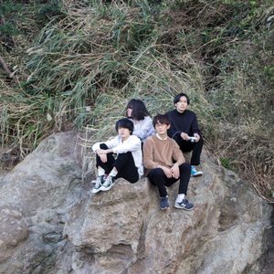 The Still 的头像