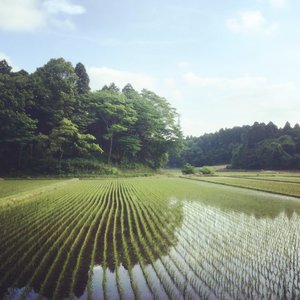 YACHIMATA