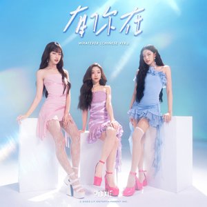 “Whatever (Chinese Ver.)”的封面