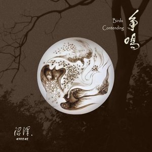 Image for '争鸣'