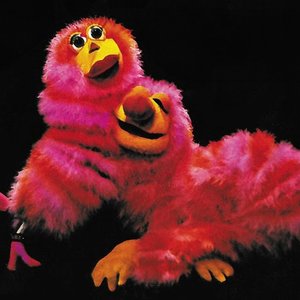 Rocky & Vandella 的头像