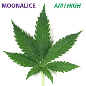 Am I High