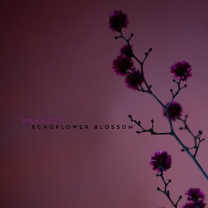 Echoflower Blossom