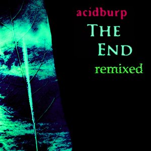 The End Remixed