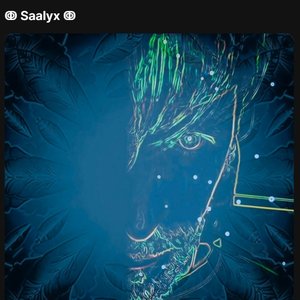 Saalyx 的头像