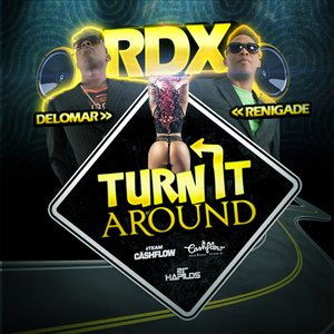 Turn It Around - Single