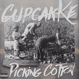 “Picking Cotton”的封面