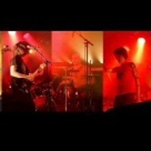 Golden Age Of Monkeys 的头像