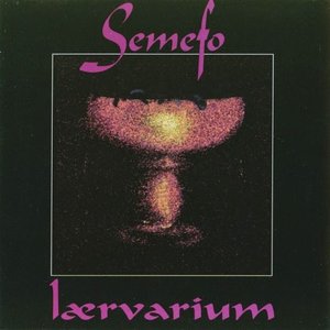 Lærvarium