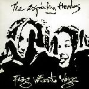 Flying Without Wings cover