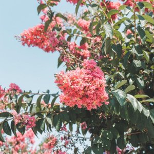Like You - Single