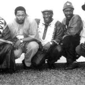 “African Roots”的封面