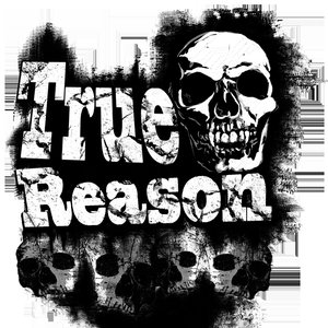 “True Reason”的封面