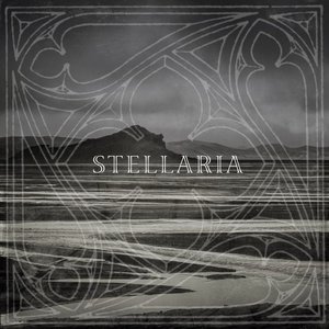 Stellaria 的头像