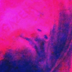 Gazer [Explicit]