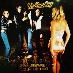 Yellow Dog - Beware Of The Dog - Zortam Music