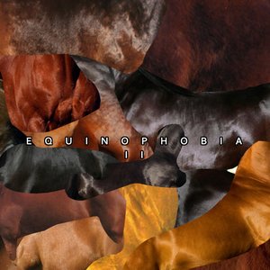 Equinophobia II