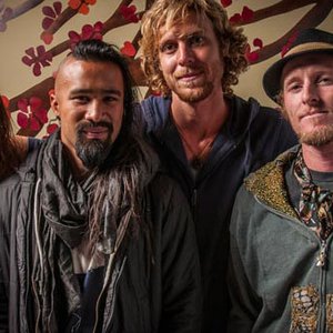 Similar Artists Rising Appalachia Last Fm similar artists rising appalachia