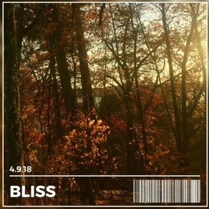 Bliss