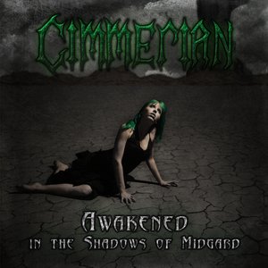 Awakened in the Shadows of Midgard