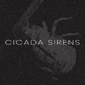 Cicada Sirens のアバター