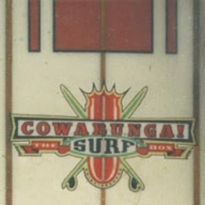 Cowabunga! The Surf Box