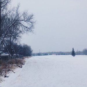 Frost