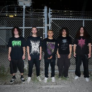 Avatar di Yet Still We Pray